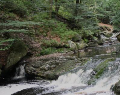 Gite Ardennes Au Coin Du Feu Jacuzzi Sauna Et Nature Jalhay Ngoại thất bức ảnh