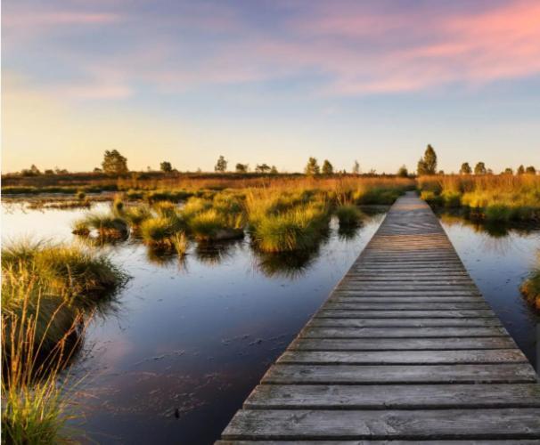 Gite Ardennes Au Coin Du Feu Jacuzzi Sauna Et Nature Jalhay Ngoại thất bức ảnh